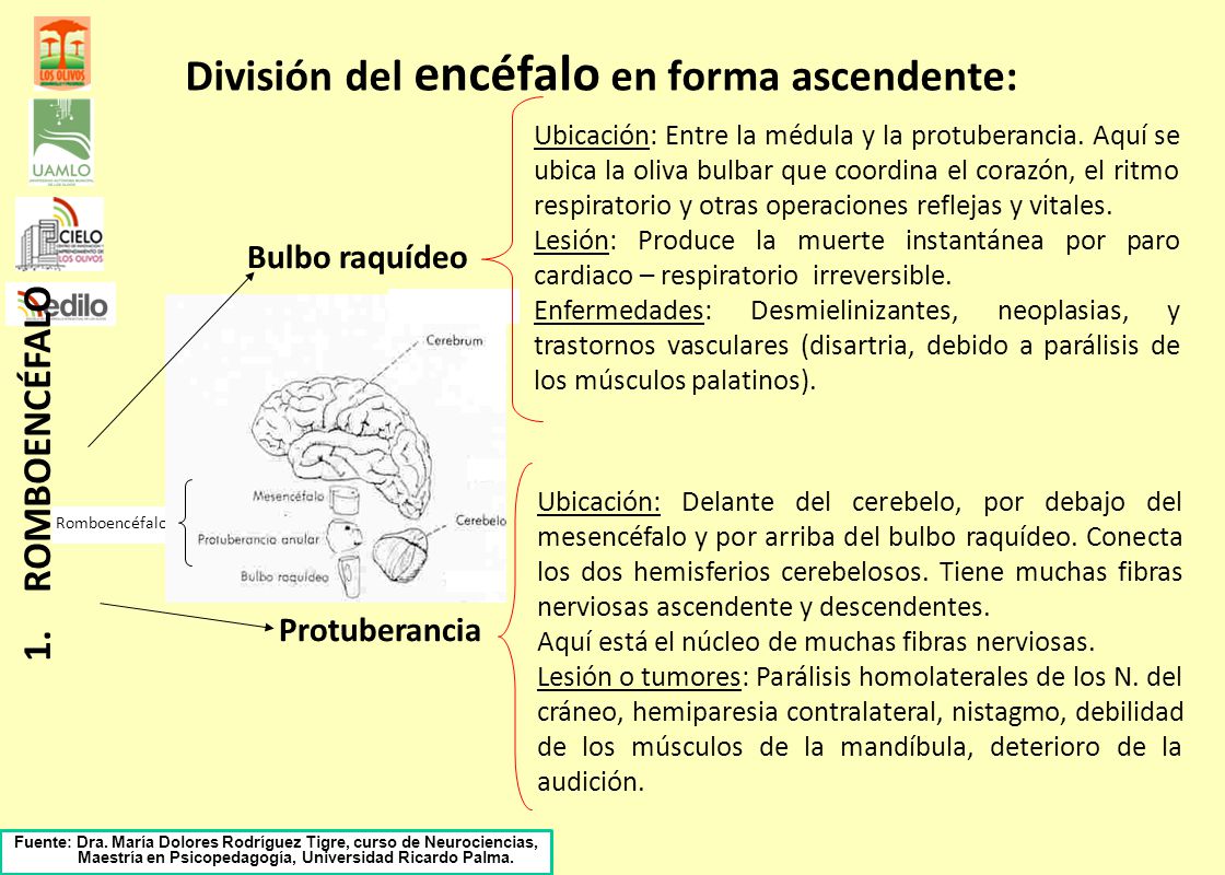 410 sobre las medidas de la superación de la borrachera y el alcoholismo